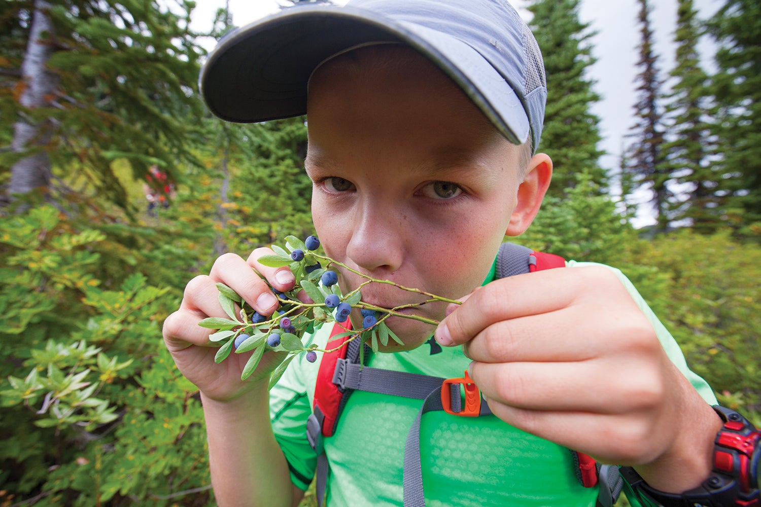 BP0617FEAT_DESTINATIONS_Blueberries_Kimmel_5451 instant awesome destinations Illal Meadows