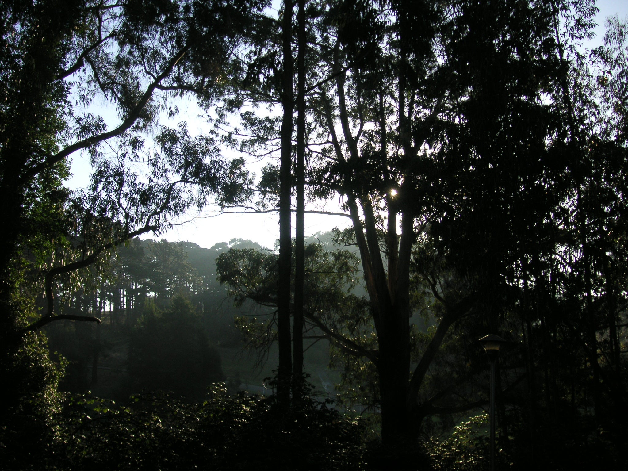 90777772_c34c5020a4_o presidio