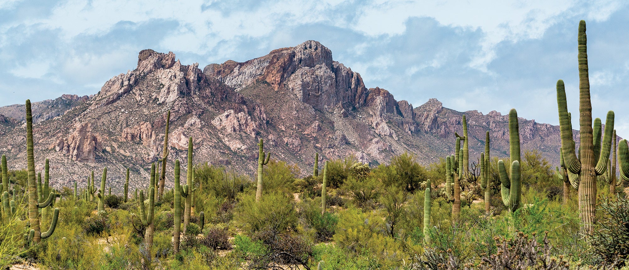 BP0318McSally_Cavaroc_AZT5I1A5461_gn Arizona Trail