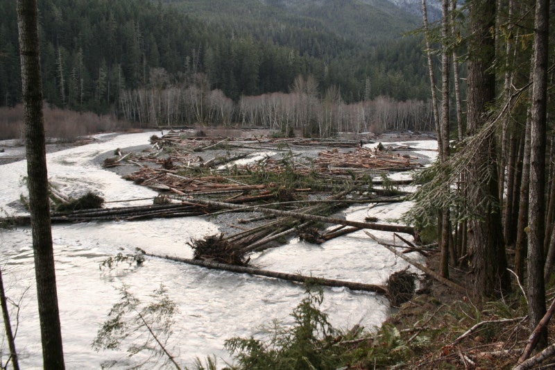 elwha None