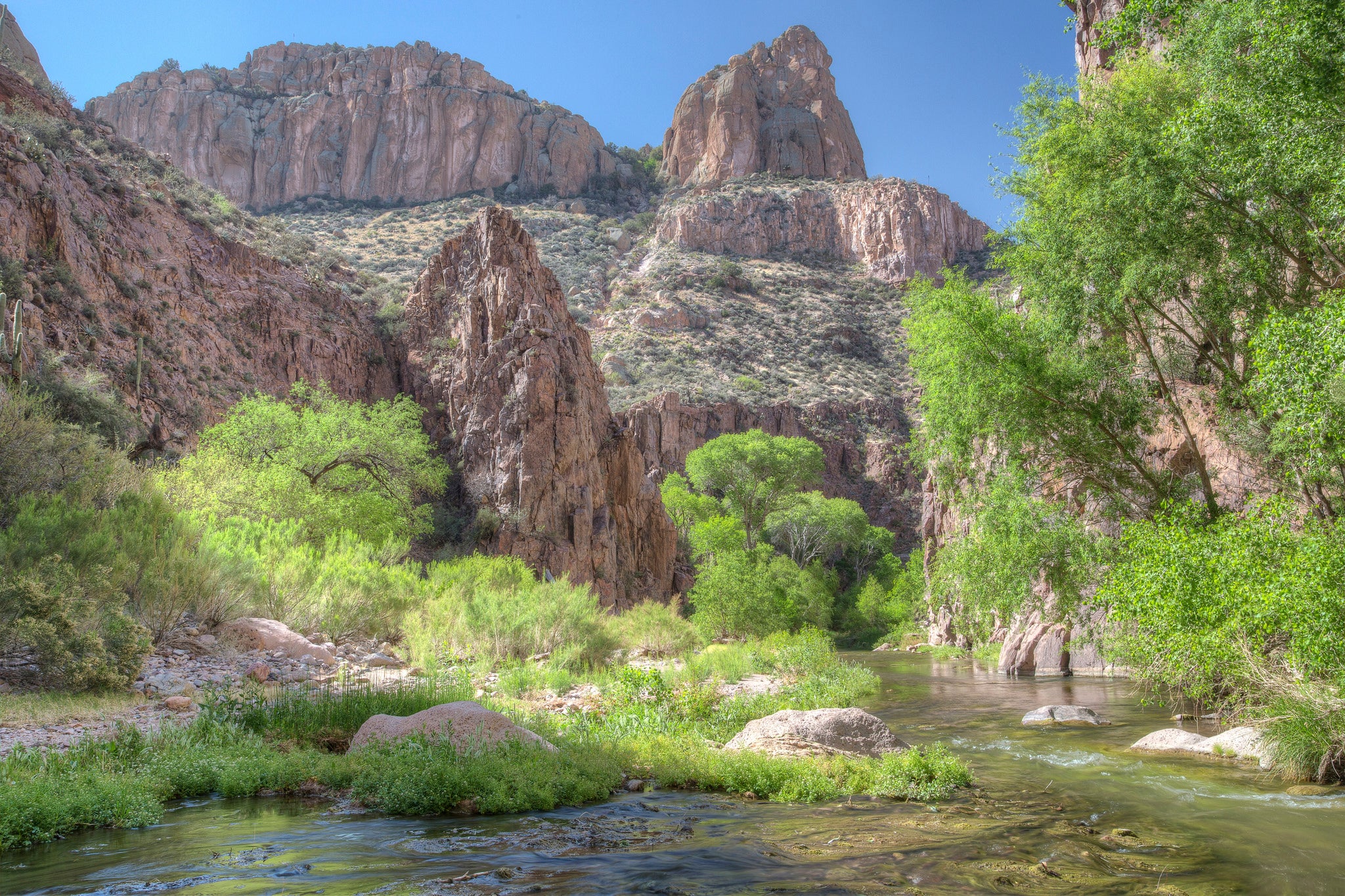 aravaipa None