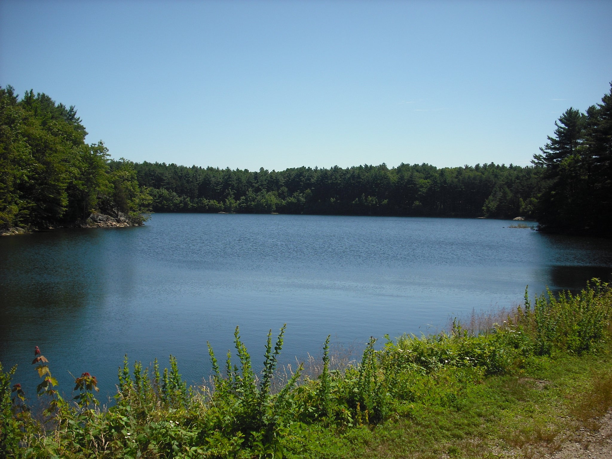 middlesex fells None