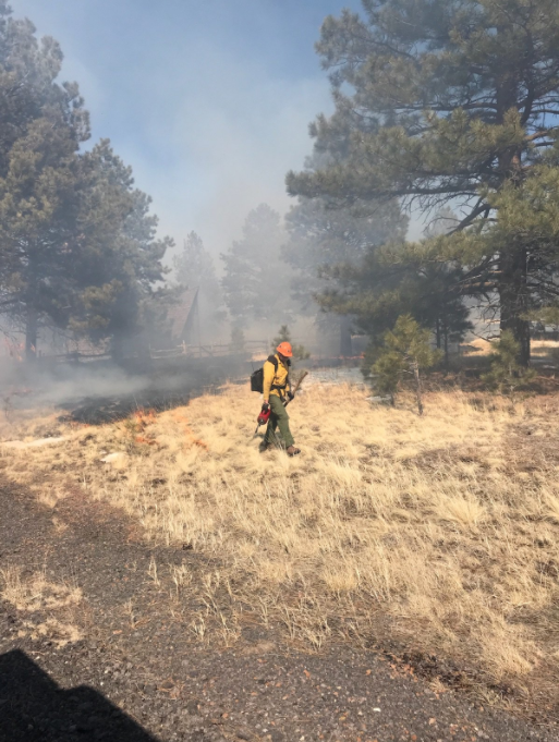 Screen Shot 2018-03-08 at 3.01.49 PM Coconino National Forest