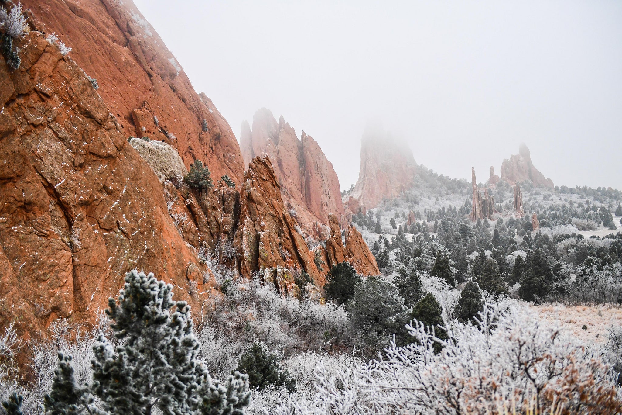 31874532794_286a0a0de7_k spring snow