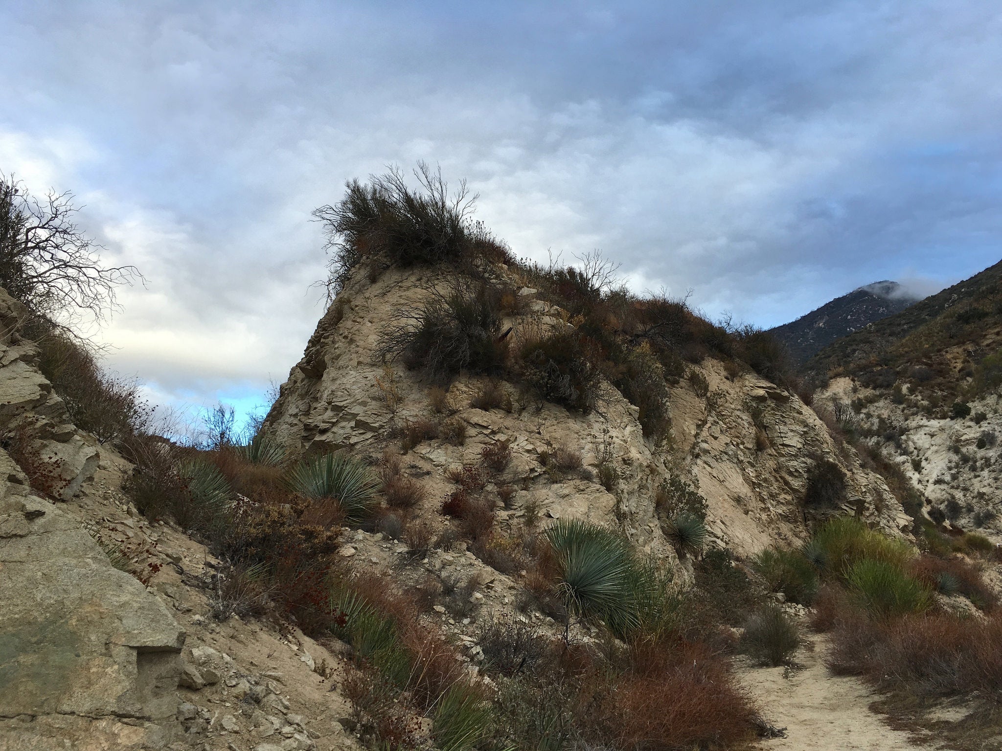 New Public Park Coming to Big Tujunga Canyon
