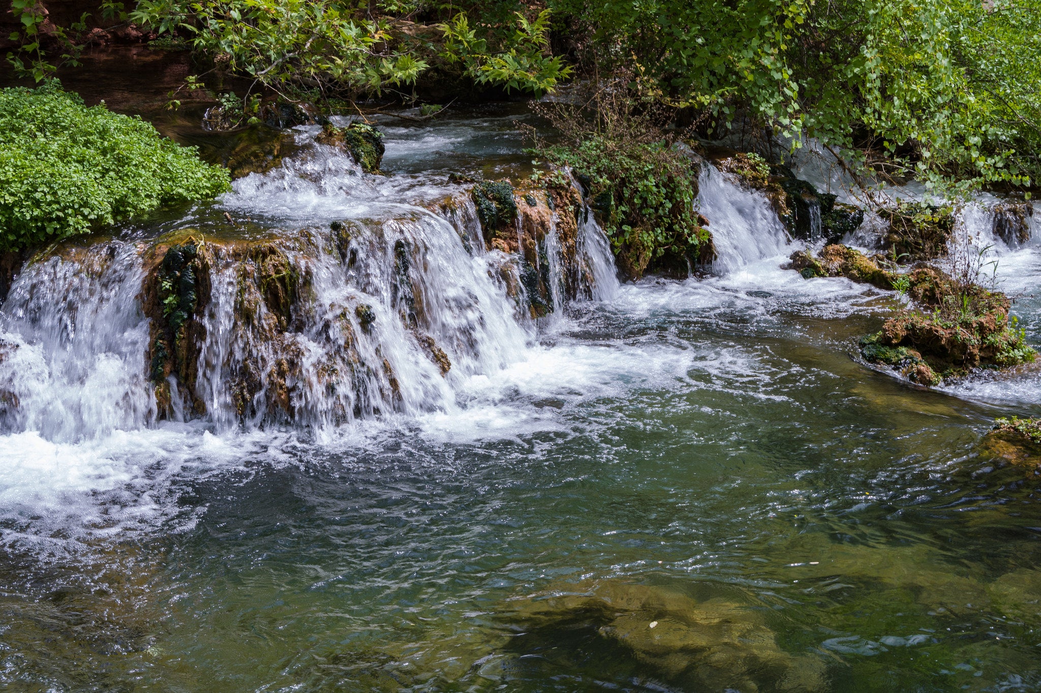 fossil springs None