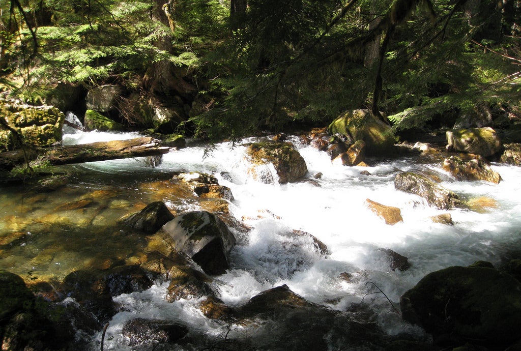 lower elliot creek None