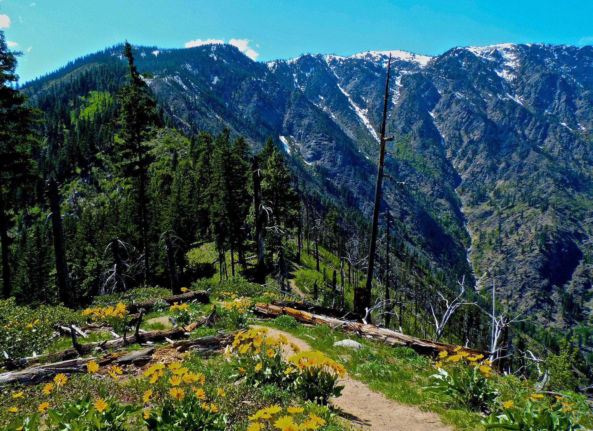 icicle ridge None
