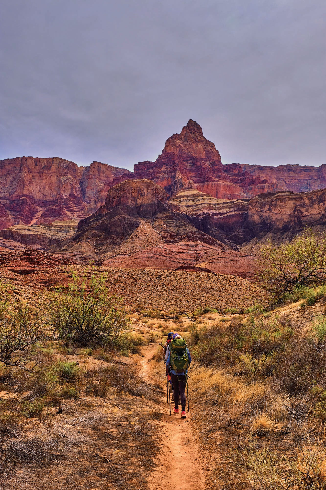 Escalante_-national_parks Escalante Route,
Grand Canyon