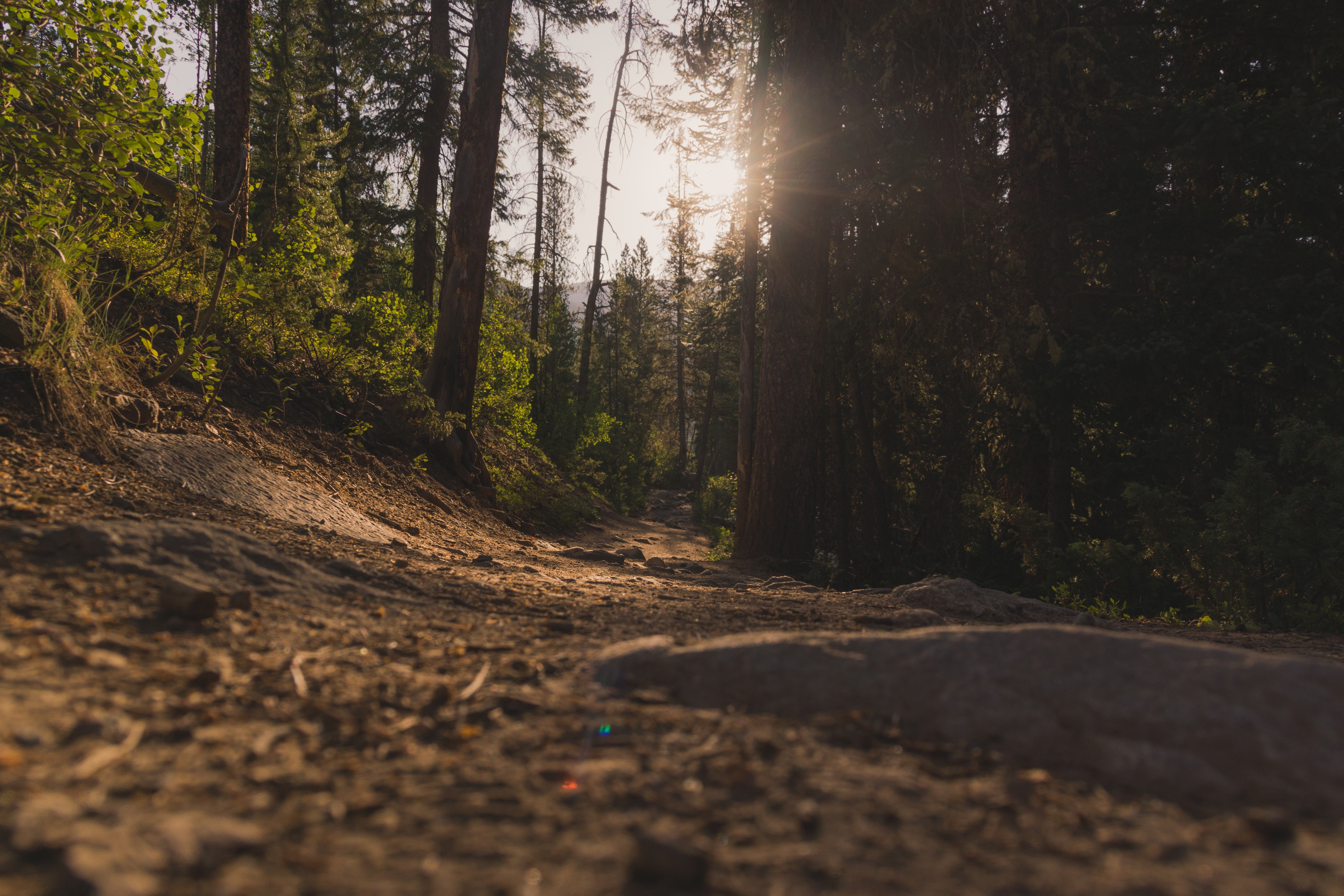 Wandern Sie den Colorado Trail