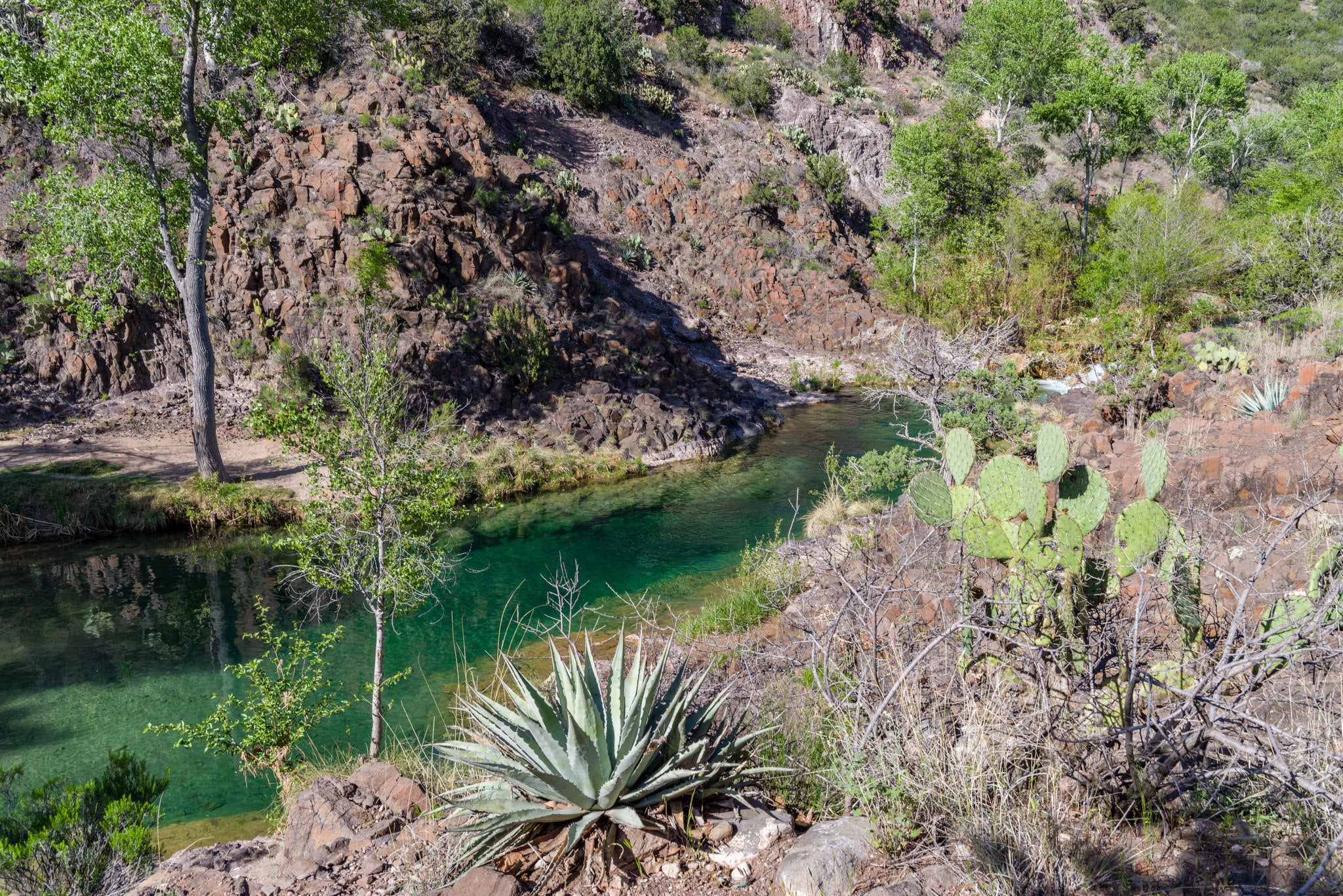 33961309602_ac6ffee140_k fossil creek