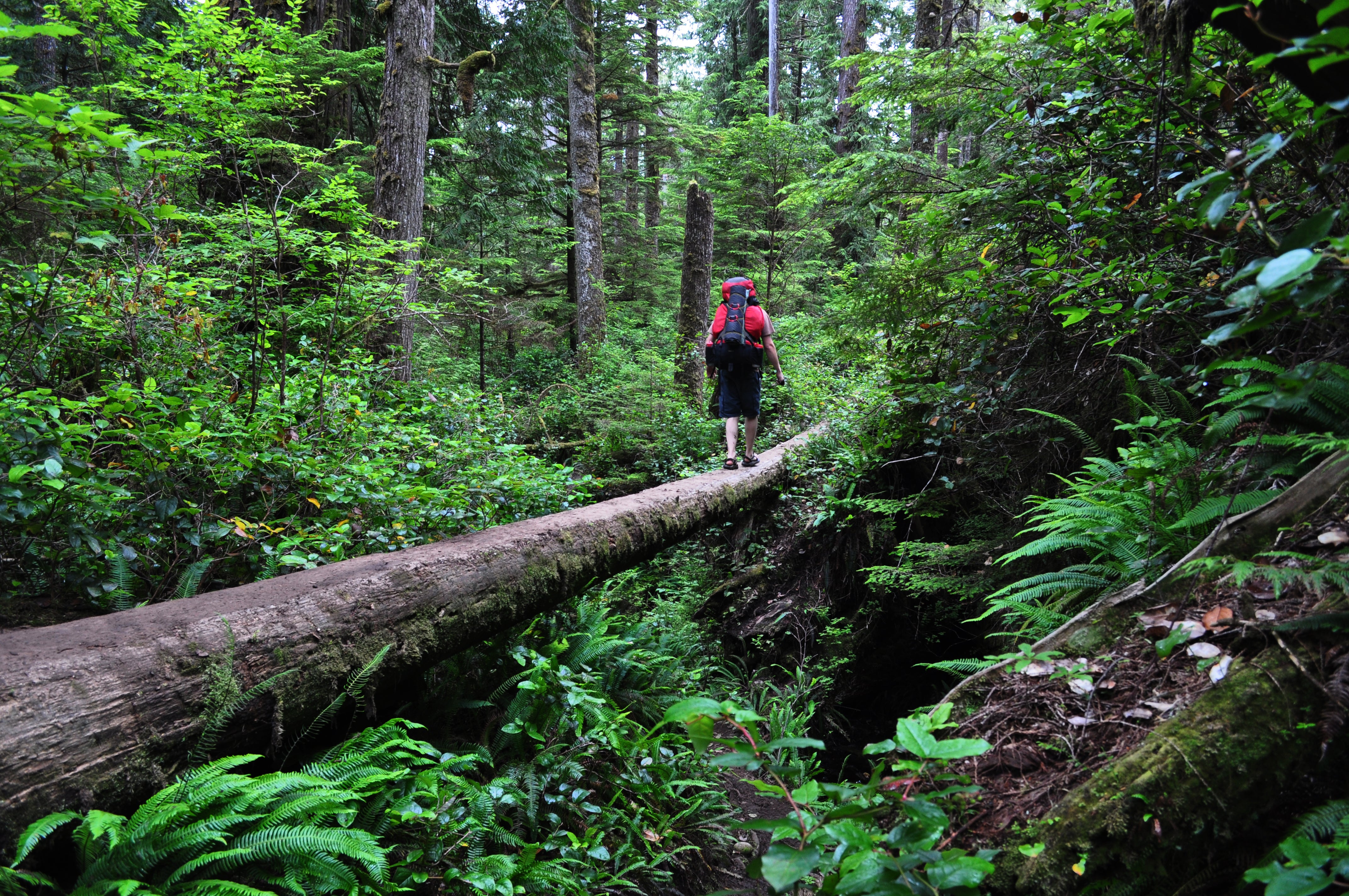 6404631935_04faa1a84e_o west coast trail