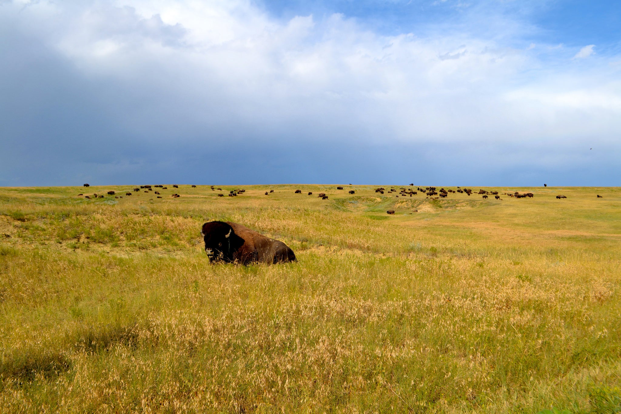 badlands badlands