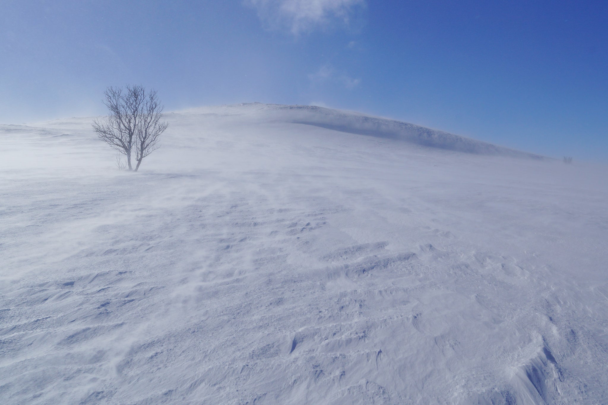 wind cold weather camping windy conditions