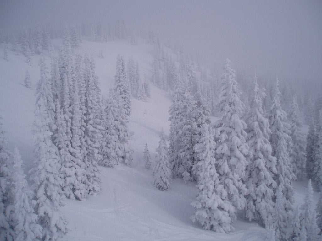 14101708_1a3ffbd959_o Blizzard