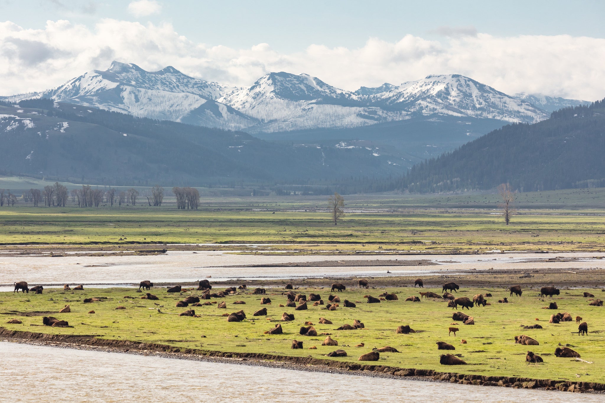 yellowstone Yellowstone