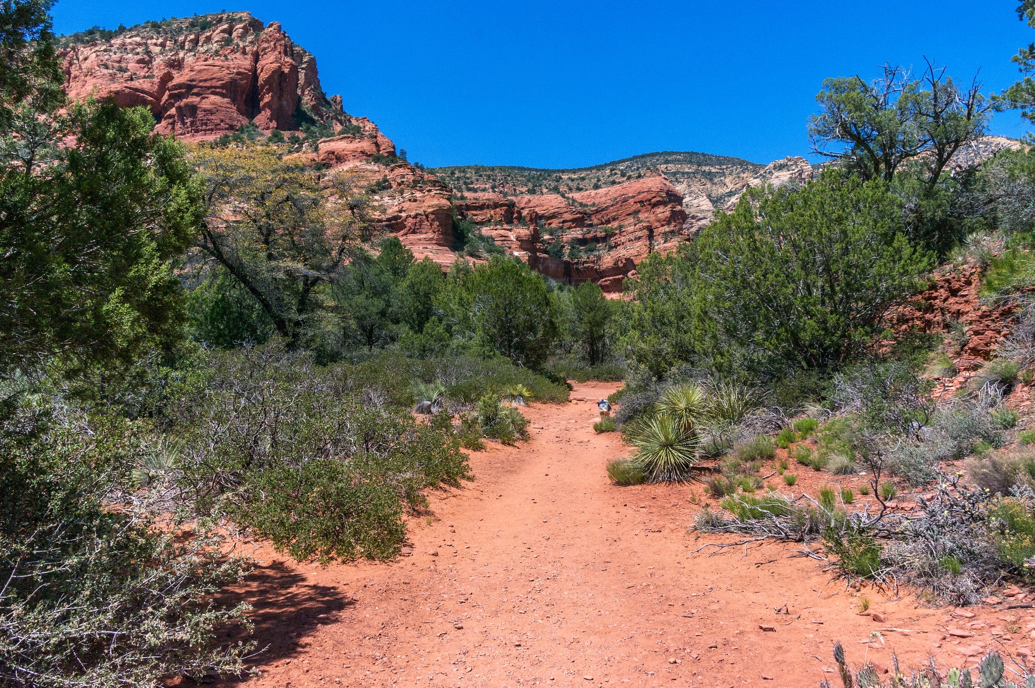 24605538187_baff09131d_k Fay Canyon