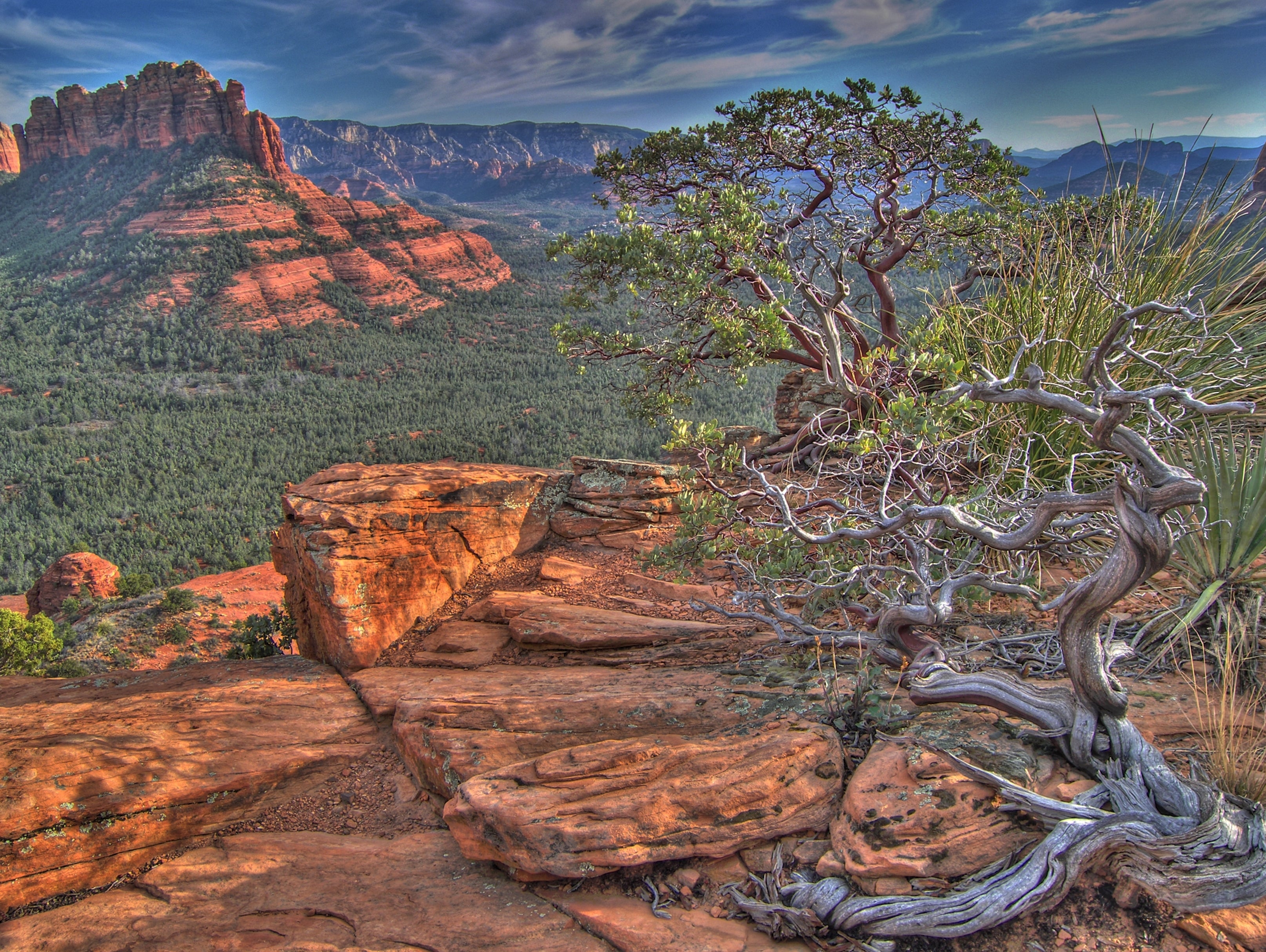 3258607760_7329e659d9_o Brins Mesa
