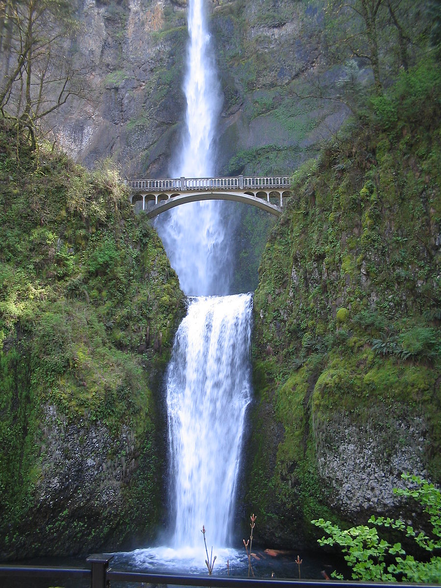 multnomah falls None