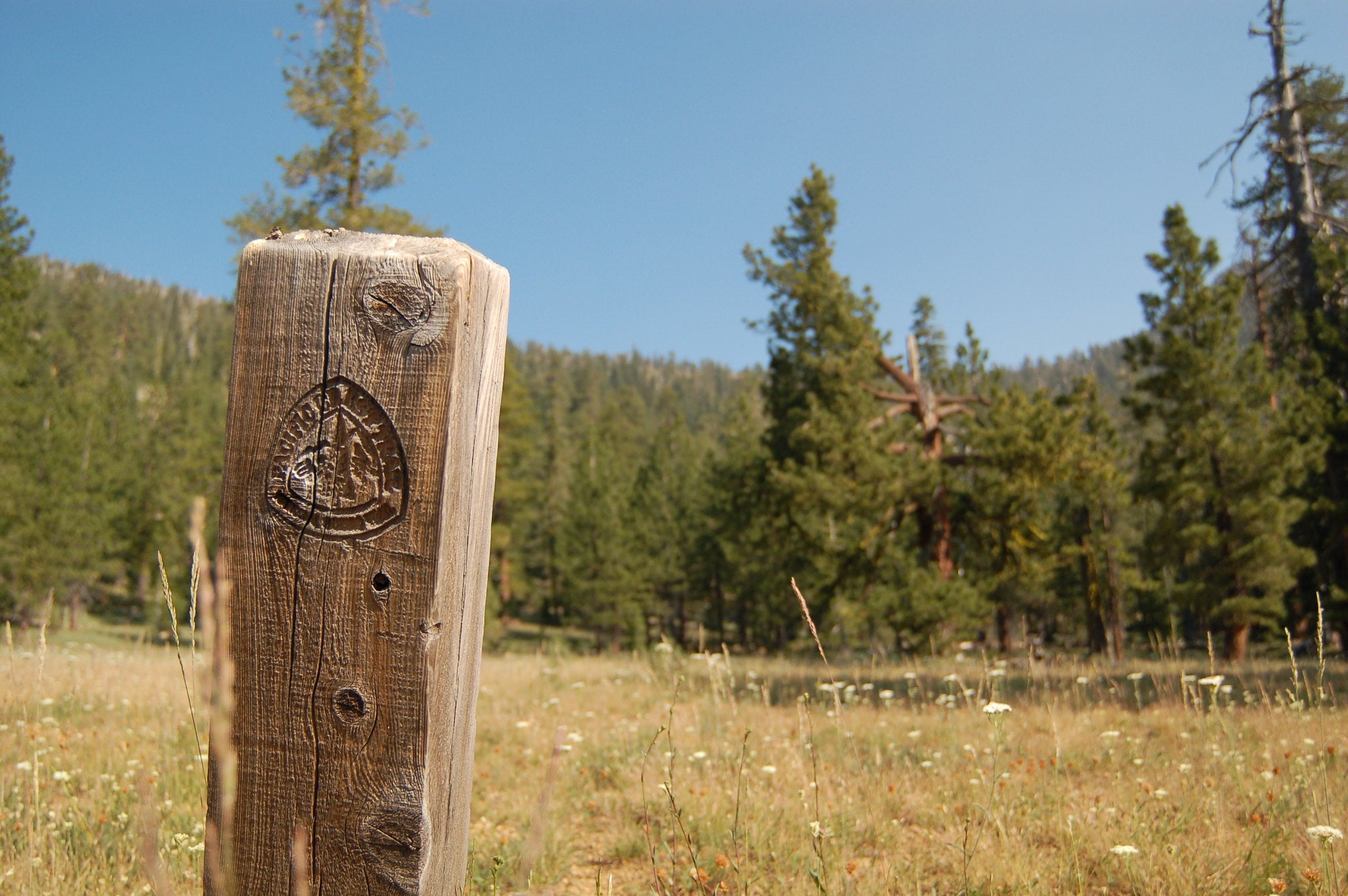 pct-marker-stock Pacific Crest Trail Marker