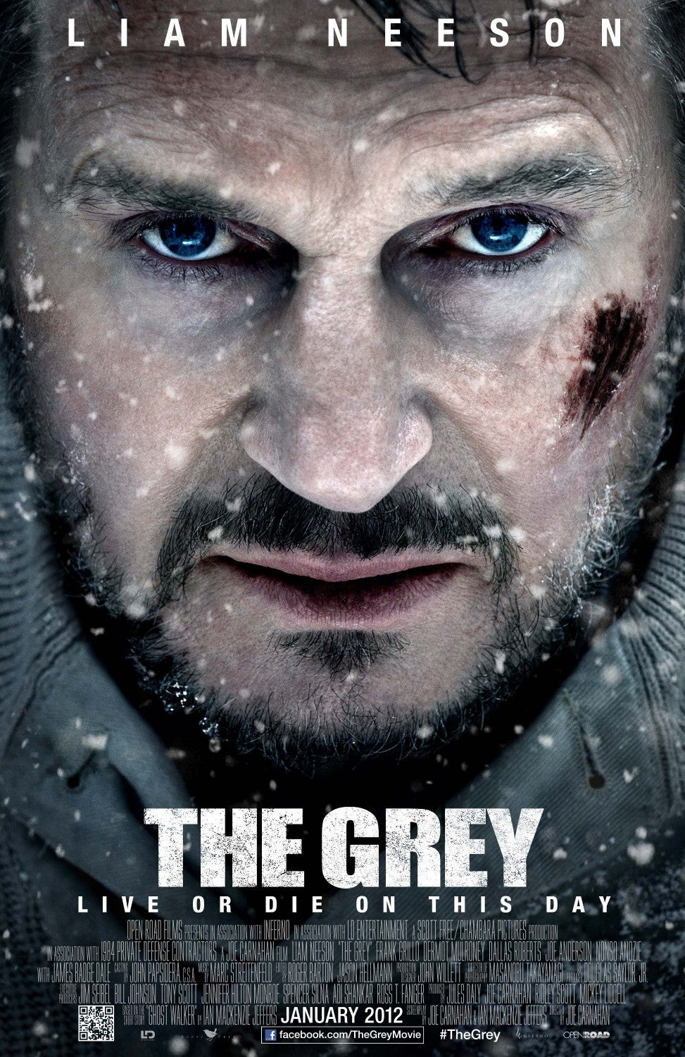 The Grey (2011) Liam Neeson is as badass as ever, but his bloodthirsty wolf foes are a little over-the-top.