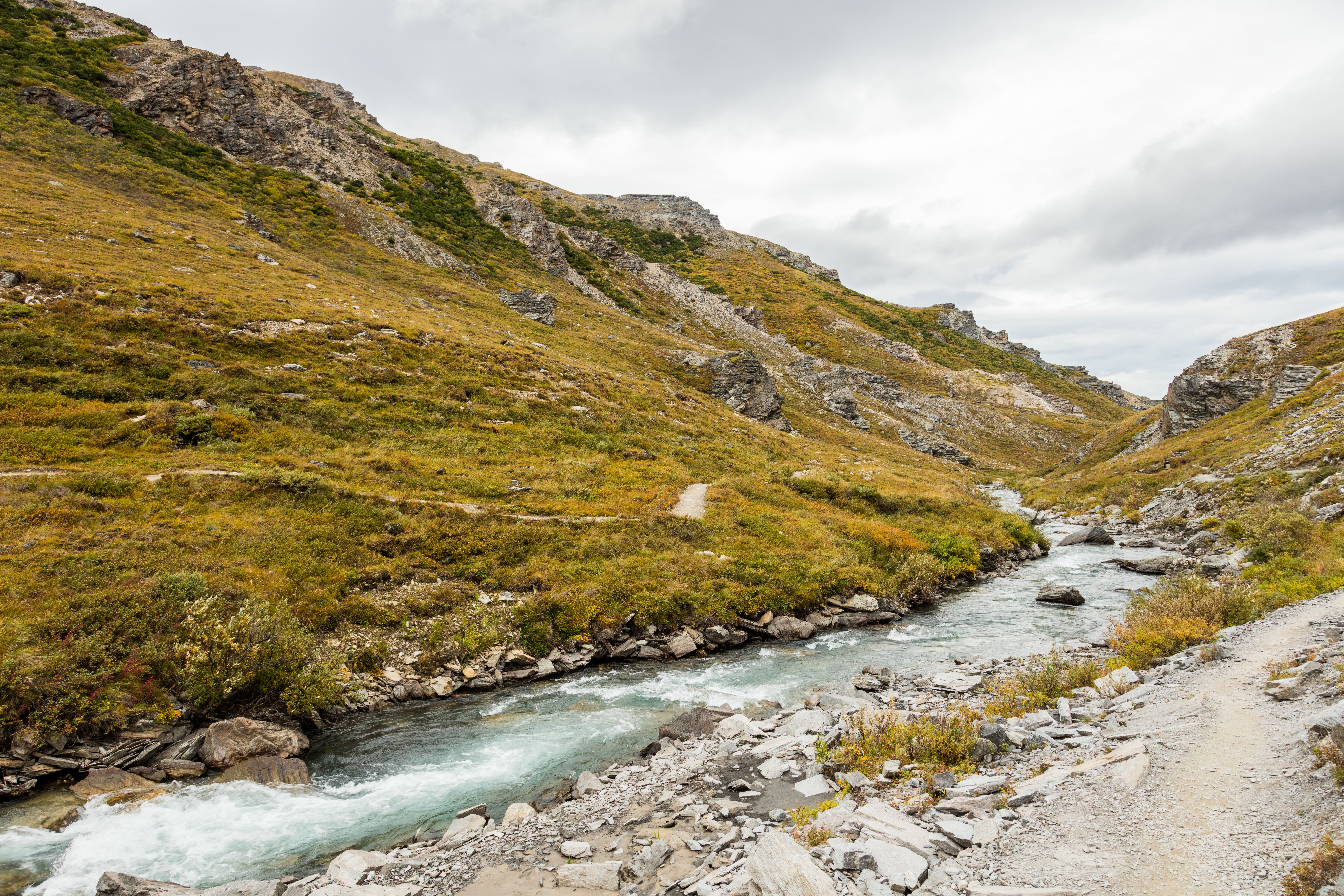 savage river None