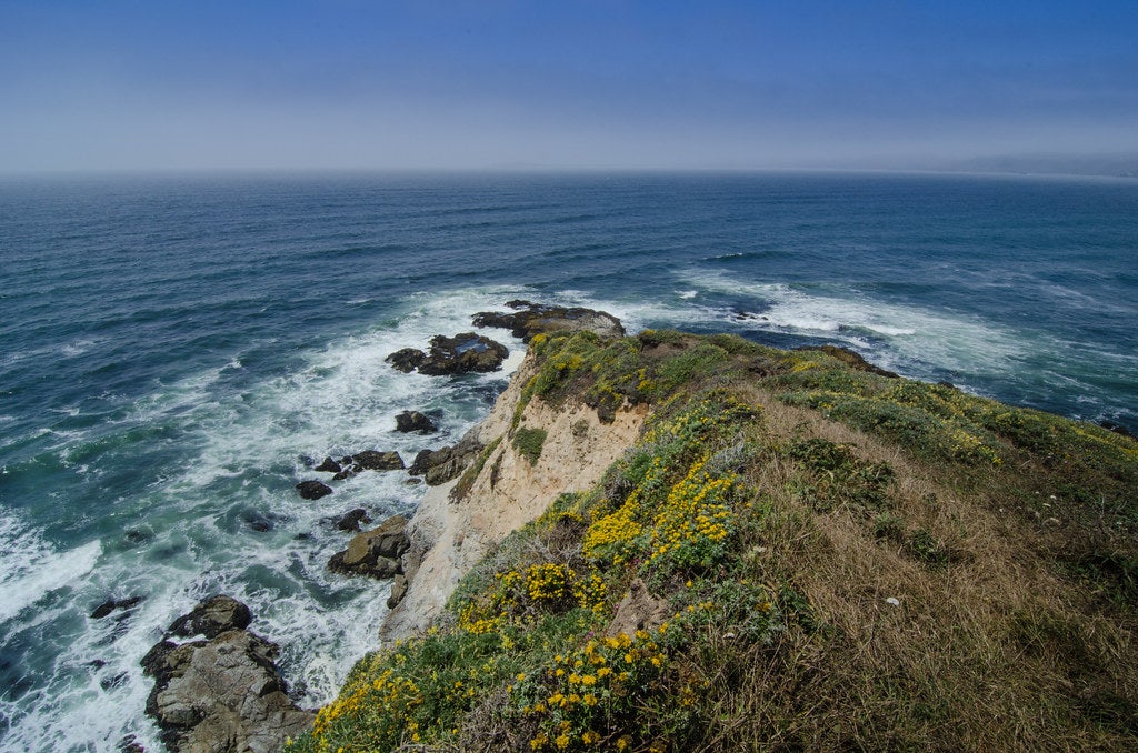 tomales point None