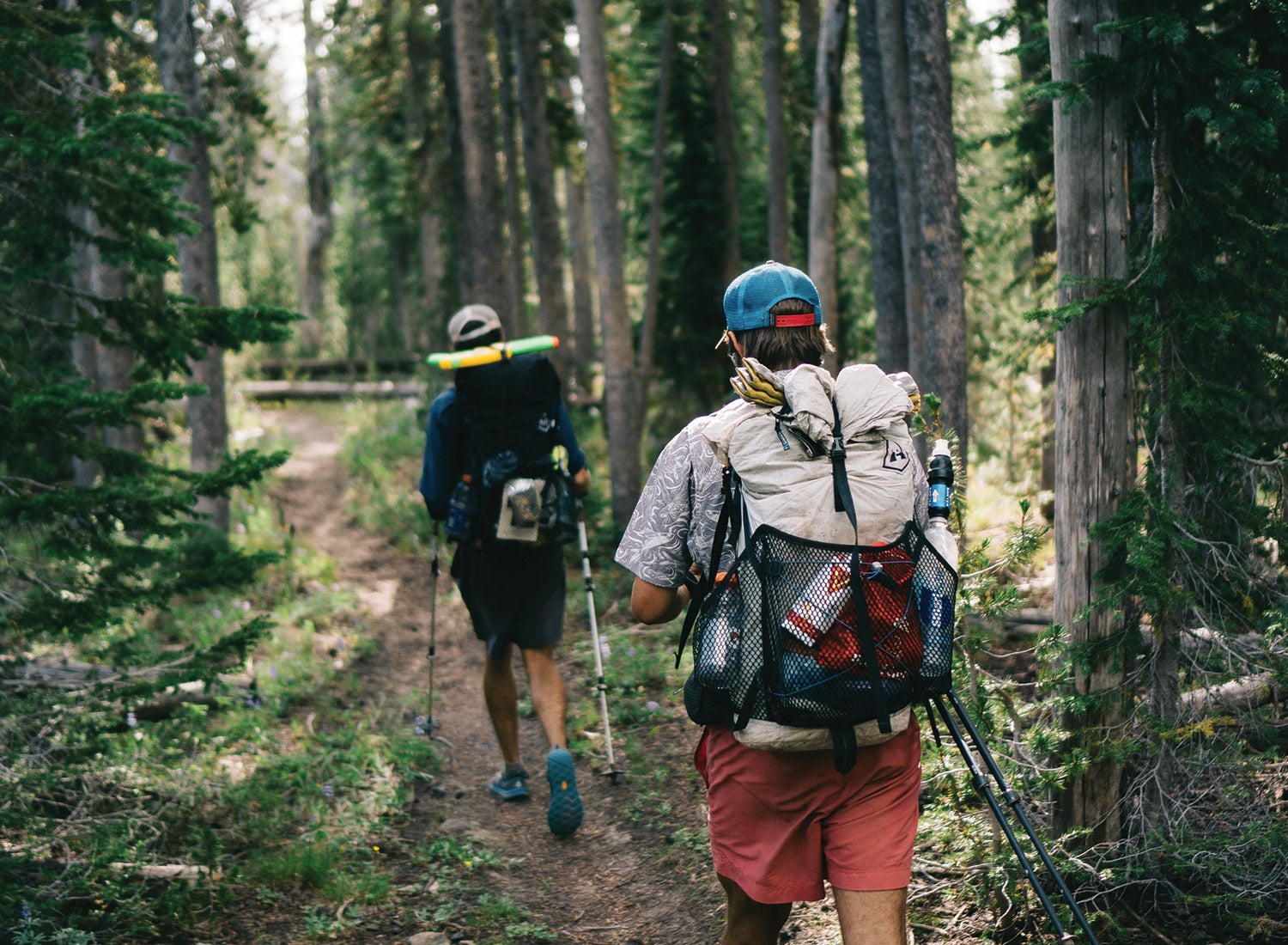 hikers None