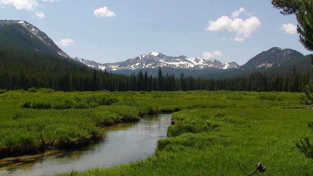 beaverhead None