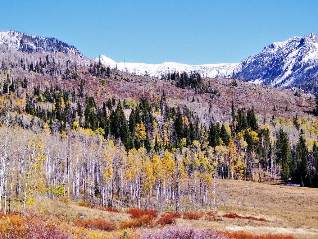 mt zirkel wilderness None