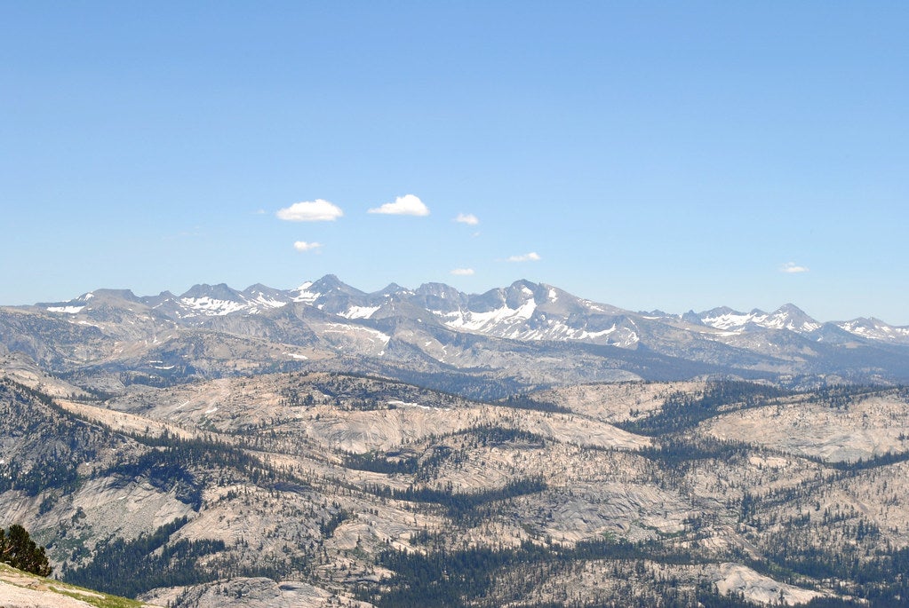 hoffman lookout None