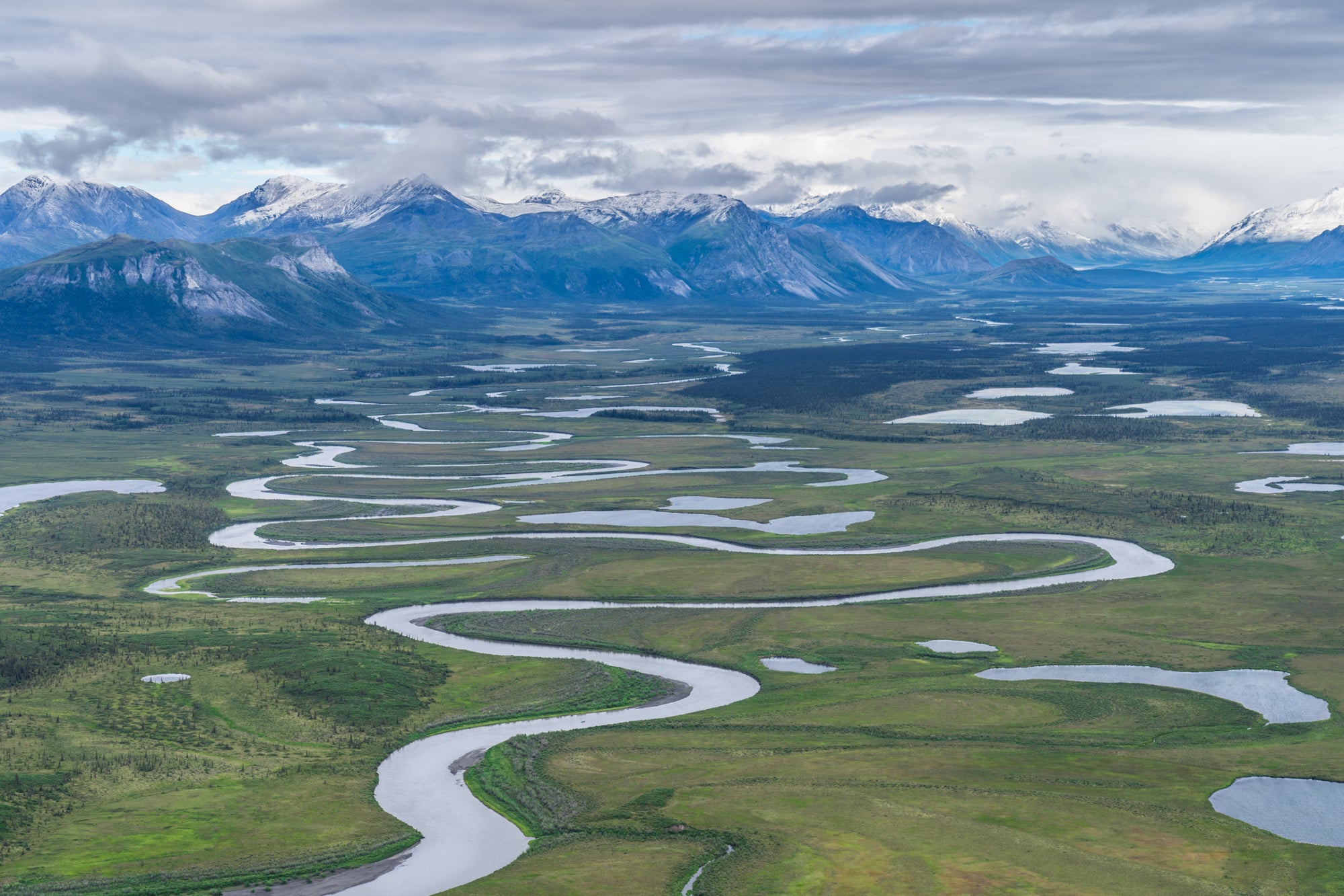 Why the Arctic National Wildlife Refuge Oil Lease Sale Flopped