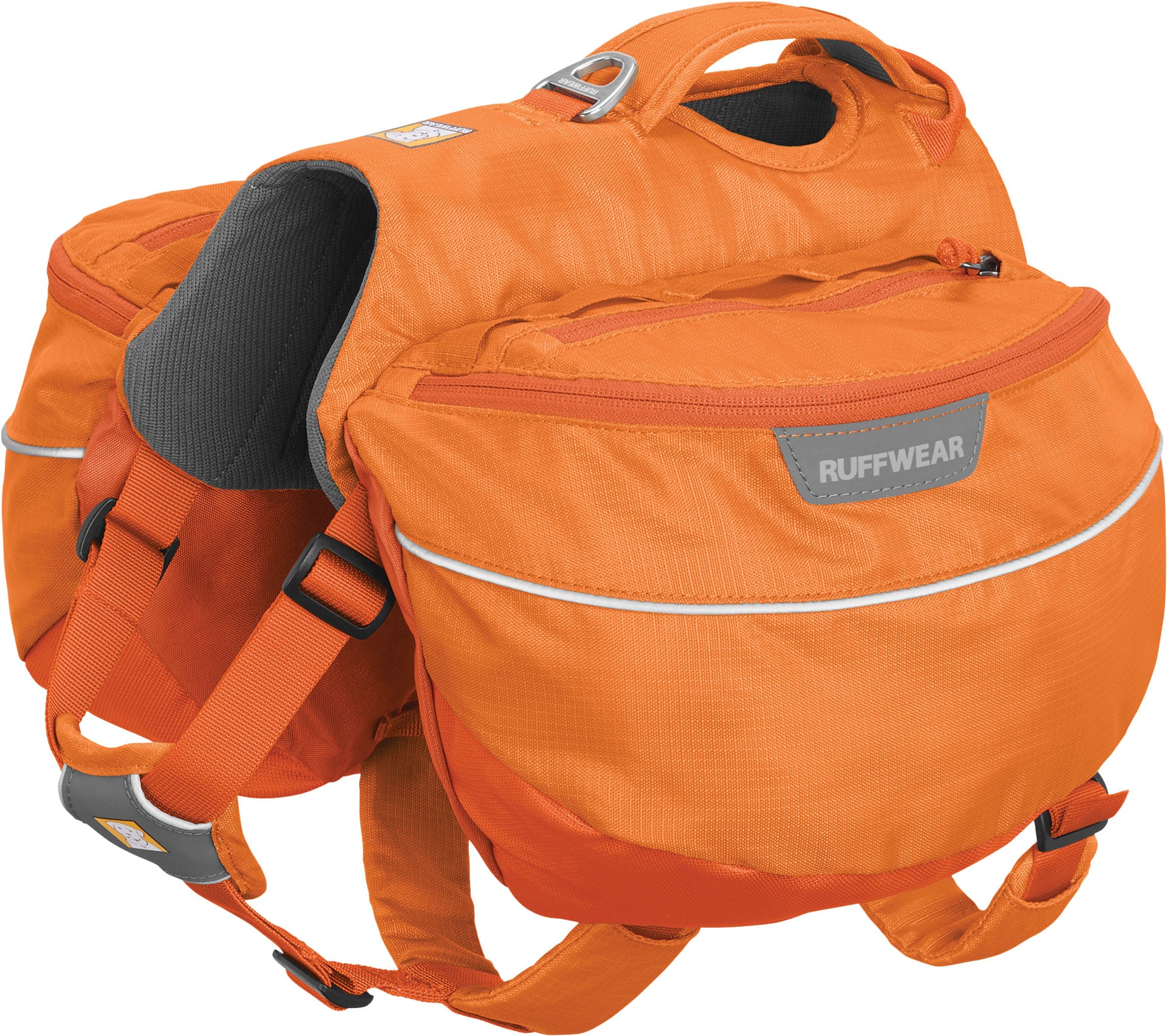 The Best Gear for Hiking With Dogs