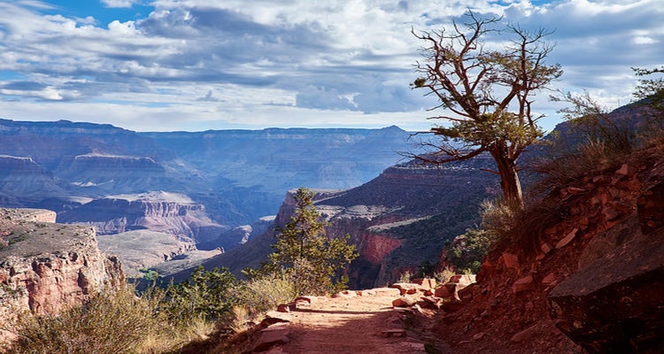Grand Canyon, AZ national parks your kids will love