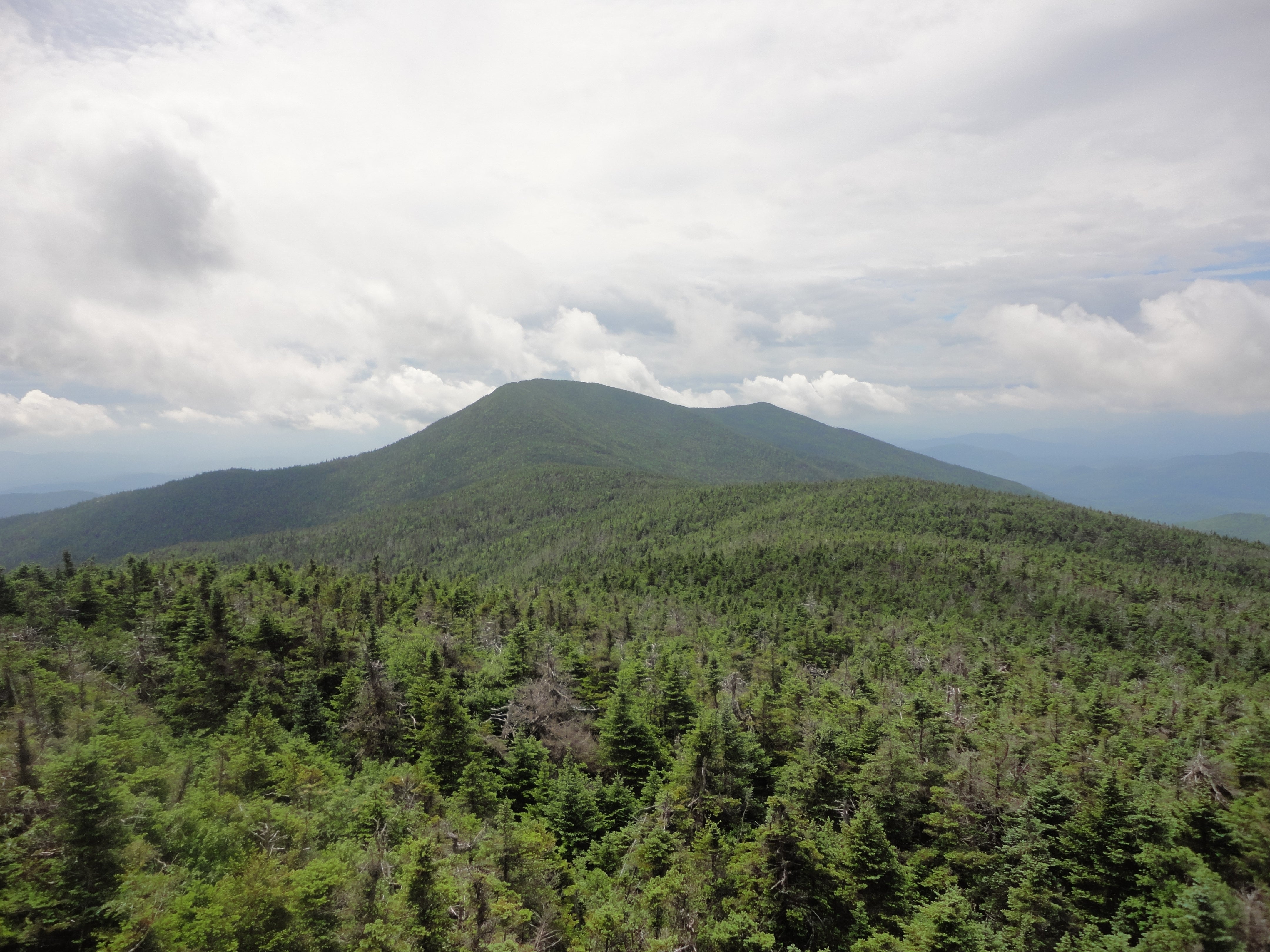 Wichelns_20130707-DSC00007
